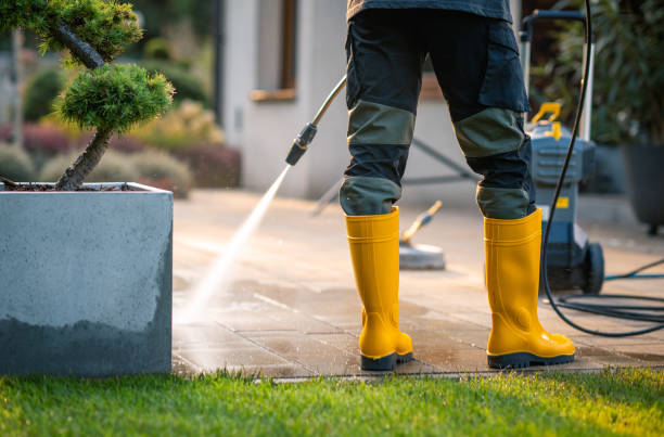 Best Exterior Home Cleaning  in Brunswick, MD